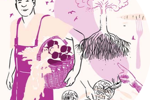 Alimentation G5 - Part de la population française en 2020 associée à chacun des 4 groupes de consommateurs proposés