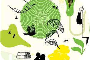 Biomasse énergie G3 - Évolution des matériels de chauffage au bois à l'horizon 2050 dans le scénario tendanciel