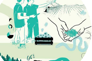 Productions Agricoles G11 - Émissions territoriales de GES actuelles et à l’horizon 2050 du secteur agricole